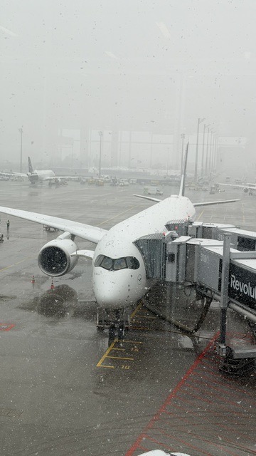 Impressionen von dem Curriculum „Periimplantäre Erkrankungen“ der APW in Chicago am 27. und 28. Februar 2026