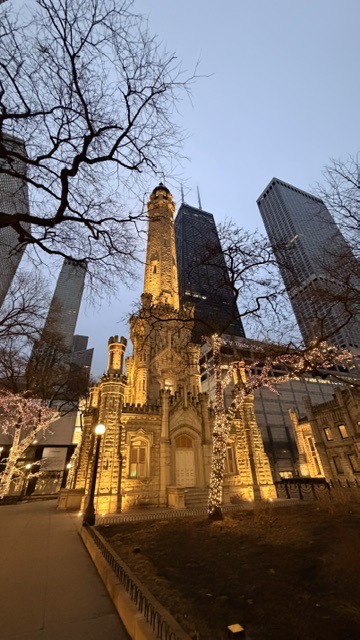 Impressionen von dem Curriculum „Periimplantäre Erkrankungen“ der APW in Chicago am 27. und 28. Februar 2026